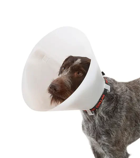 Collar isabelino opaco 30 10uds kruuse