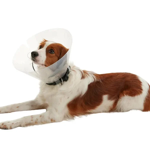 Collar isabelino buster clic 7,5 10uds kruuse