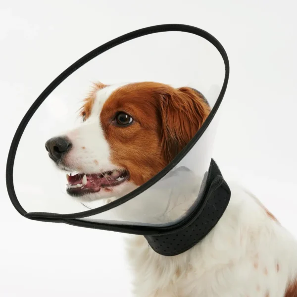 Buster complete collar 10cm 5uds kruuse