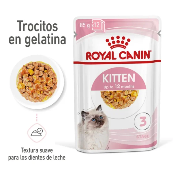 Royal feline kitten gelatina 12x85gr - comida húmeda saludable para gatos