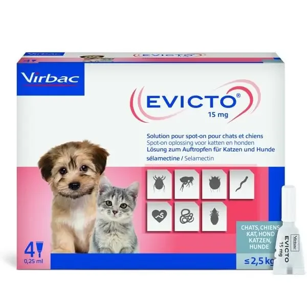 Evicto lašai šunims ir katėms <2,5 kg, 15 mg, 4 pipetės