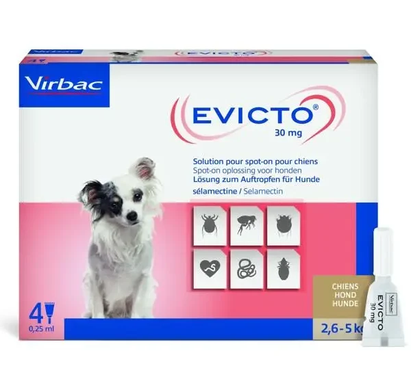 Evicto spot on perro 2,6-5kg 30mg 4pip