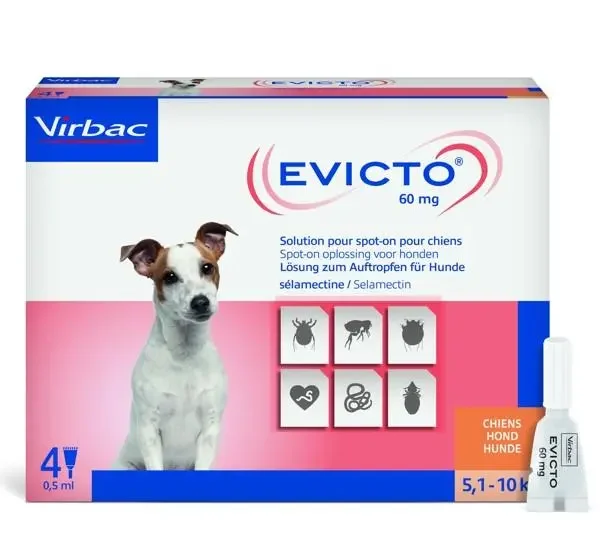 Evicto spot on perro 5,1-10kg 60mg 4 pipetas