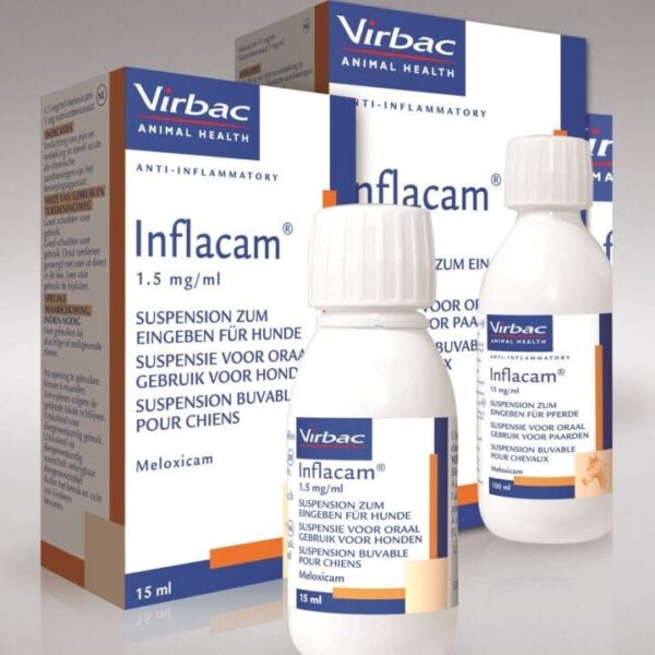 INFLACAM 1